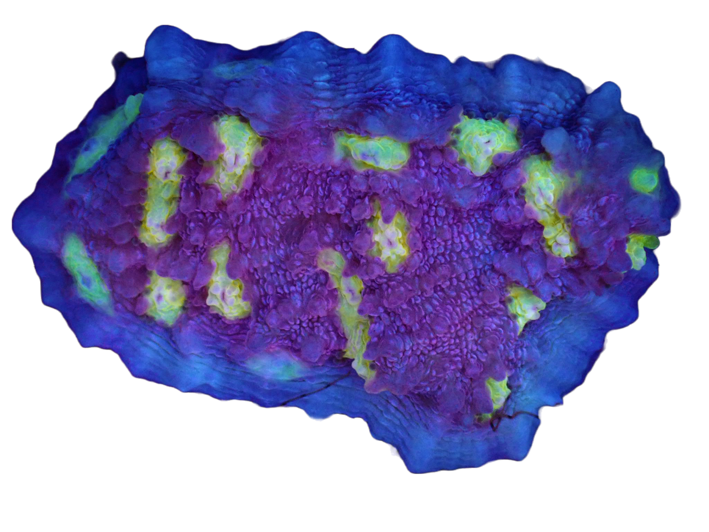 WYSIWYG Easter Egg Chalice